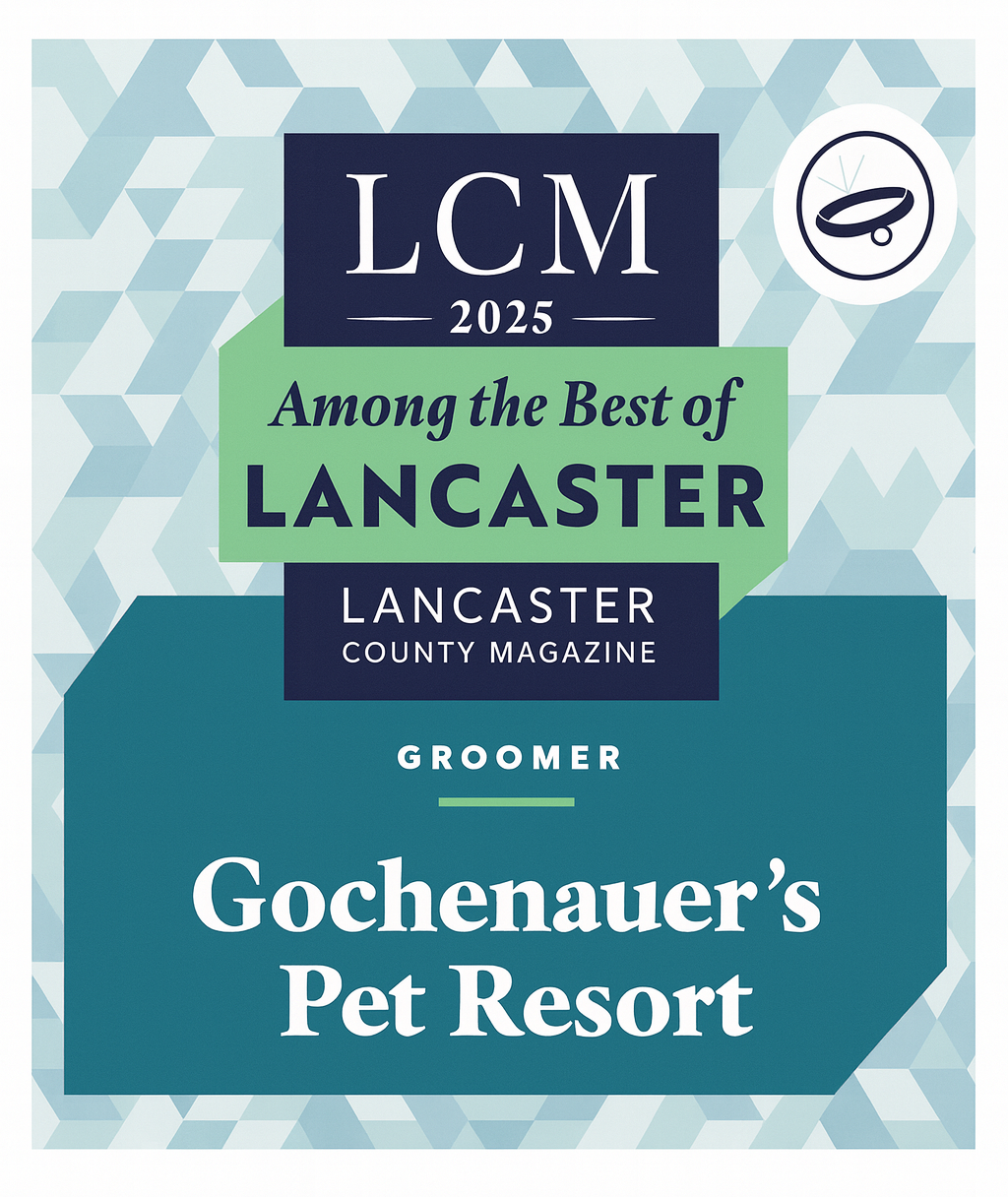 Best of Lancaster Award