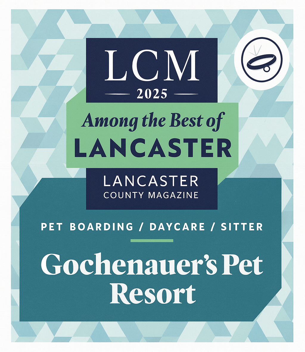 Best of Lancaster Award