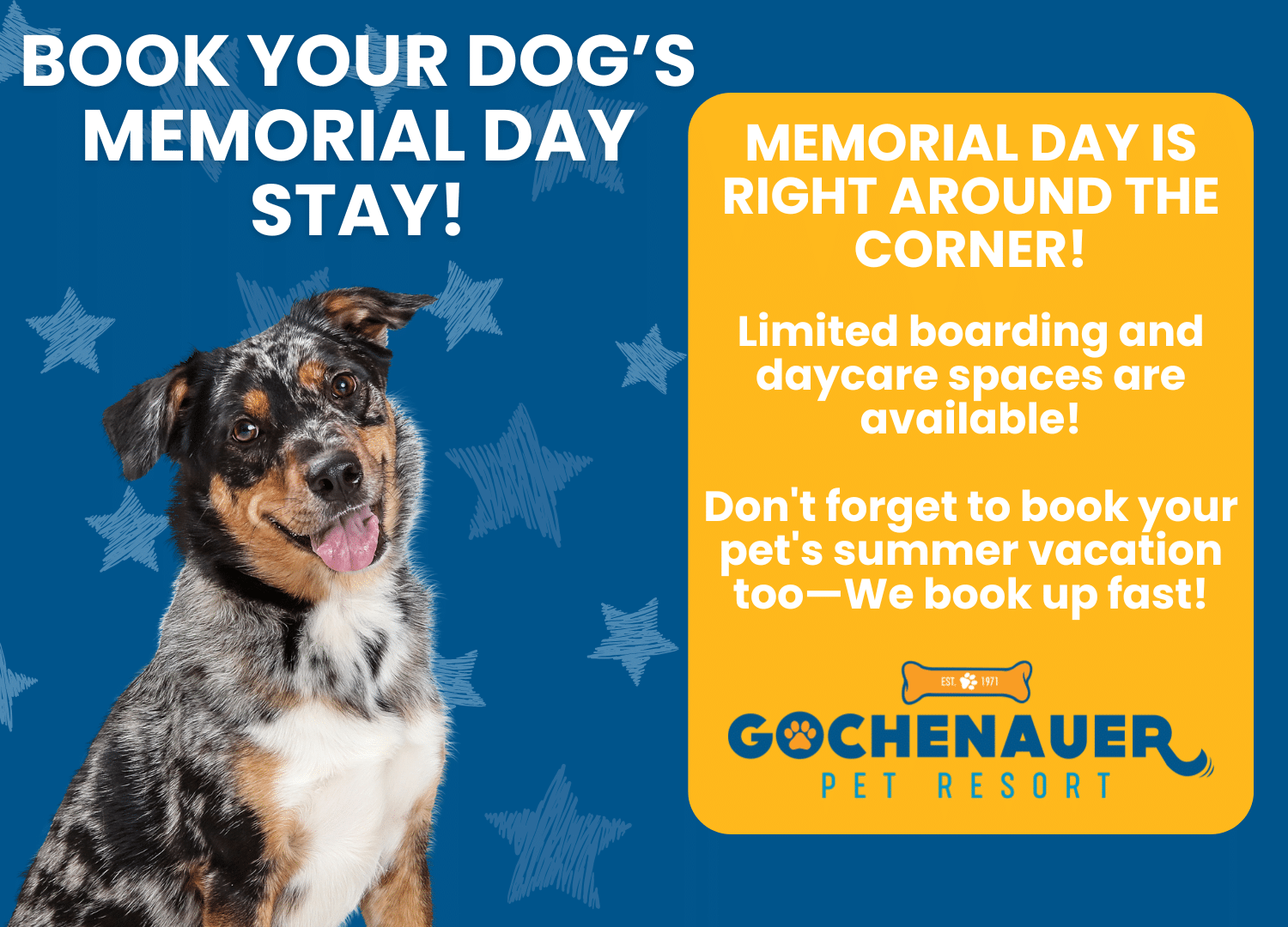 Gochenauer Memorial Day Pop-Up
